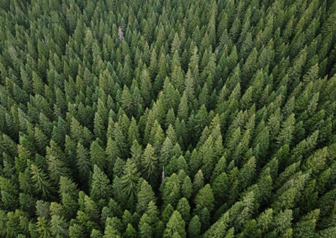 �Ĵ�����2030����ִ�ˮ�����ﵽ1000��������