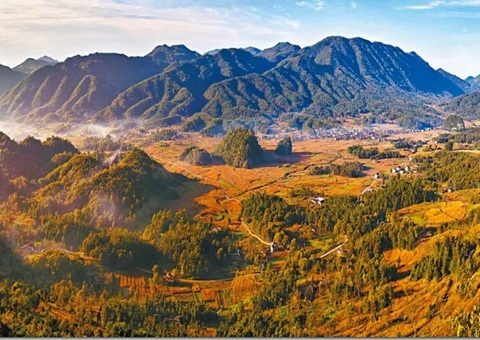 ���У�����ģʽ�ƶ����伯�徭Ӫ�Խ����õ����� 