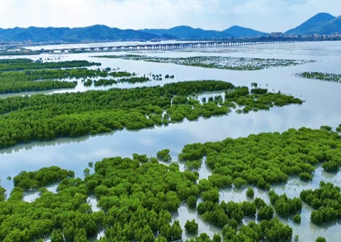 �㶫�䲼��̬��ƷĿ¼�嵥ָ��