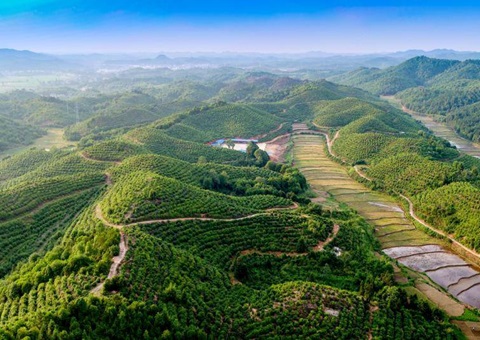 ����ȫ�����조��۶�������⡱<br> ���꿪���������ʳƷ������679.4���