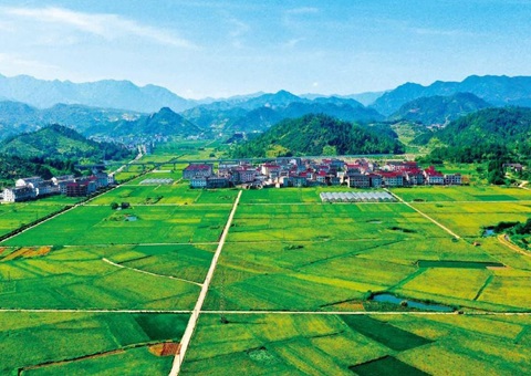 �����������Ե�Ƥ�ۺ����ζ�ԪͶ����ģʽ<br>����Ͷ������ ��Ŀ�ʽ����� ��᱾Ǯ�μ� ֧�����߼���