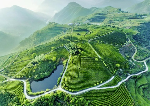 ���Ͷ��Լ15��Ԫ �ɶ�����Ȧ��������ƶ�9����̬������Ŀ