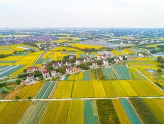 ��Ƥ�ۺ�����