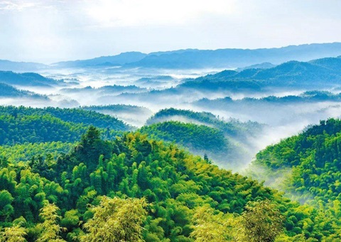 ���Ĵ�ʡ��ɽ�ռ�滮��2021��2035�꣩��ӡ��