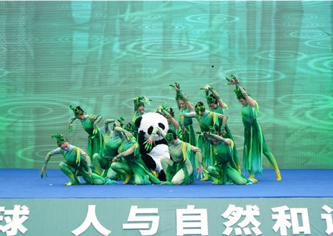 �Ĵ�ʡ��55������������ա����������������������Ű�����