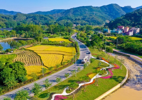 �Ĵ�ʡ�䲼�׸��������������ִ��佨������Ӫָ��