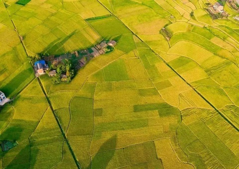 �Ĵ�ʡ������Զ����ũ�ﴢ����������¹���