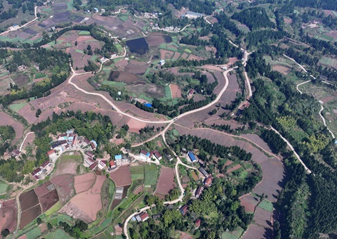 �ڽ��ж�������ȫ�����ø��ر��� ȫ�������õر���