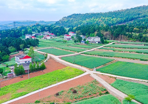 ��Ԫ�з���װ�����ﳤ���Ƽ�������׼��������