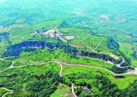 �㰲�е�Ƥ�ۺ�����Ϊ�������ˡ����Ρ�