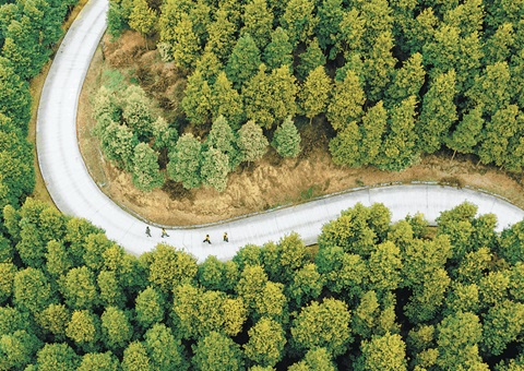 ������ȫ��������Ȩ�Ǽ���ȶ��� &nbsp;&nbsp; �����ֵء���ɫ��Դ�����������ɫ�Ƹ���ת��