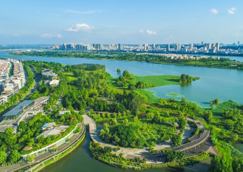 ��������ߵ�Ƥ����Ч�ܱ�������Ŀ����