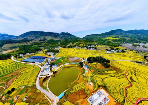 Ͷ�ʳ�ǧ�� &nbsp;&nbsp; �㶫ȫ���Ƥ�ۺ�����ʵ�֡����þ֡� 