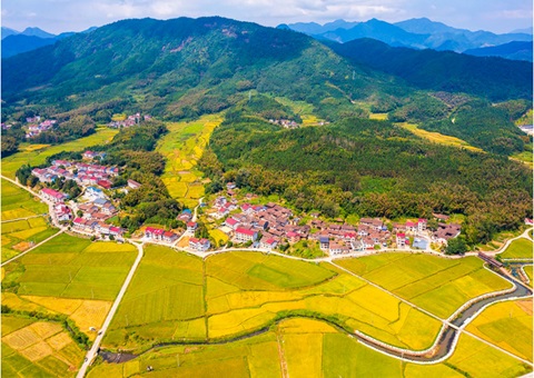 ������䡰��ζ������·�����۽�����ʡ��ũ������ױ�Ե㹤��