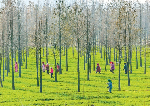 ���ճ�̨���¾��ø�������չ����ʮ����