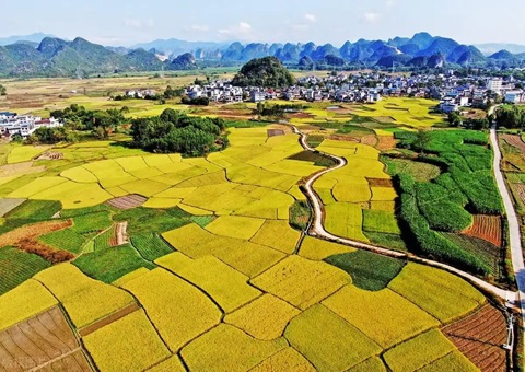 ǿ����ָ�Ӱ�������&nbsp;&nbsp;�����з���500��Ԫ���ر��������������