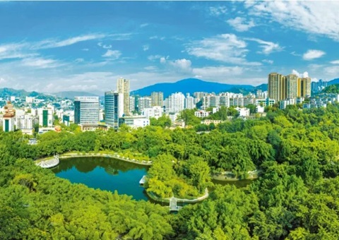 ��֦����ʵ���������õ�������������