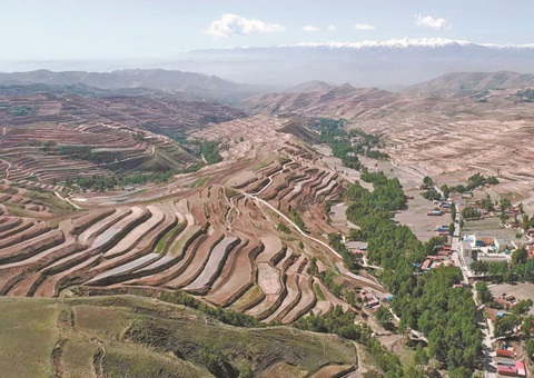 �ຣʡ��̨��������Ϣ������������������׼&nbsp;&nbsp;������ҵ��������ܻ��淶���½׶�