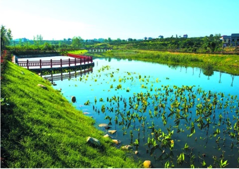 �����ƶ�ˮ��̬��Ʒ��ֵת�����&nbsp;&nbsp;����ʵ��20�������֡���4��&nbsp;&nbsp;�в�����