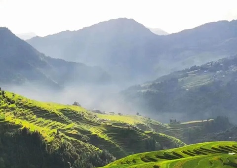 �ۺ�ʩ�� Эͬ����������ʡ�ϸ����˽�ڵ��ɿ����ԴΥ����Ϊ