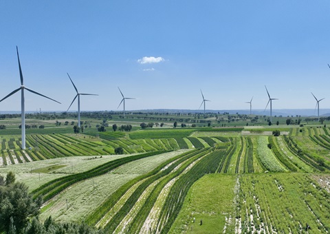 ����ʡ�����ж����أ���ɽ�ռ�滮��һ��ͼ��ʵ��ҵ��һվʽ����Ч���