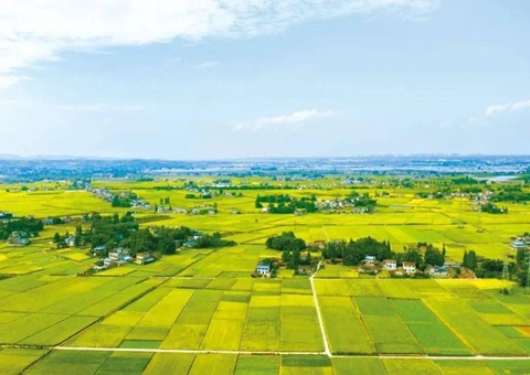 �Ĵ�ʡüɽ�о֡����벢�١����������Ƥ����Ч�� ���θ�������չ��Ƥ���ֱ���