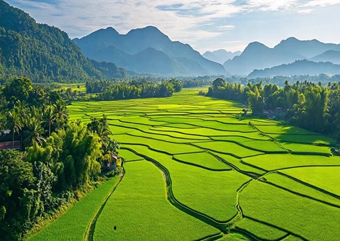 ����Ȼ��Դ+˰��Эͬ���Σ��������θ��ر�����˰�ա�˫���ߡ�