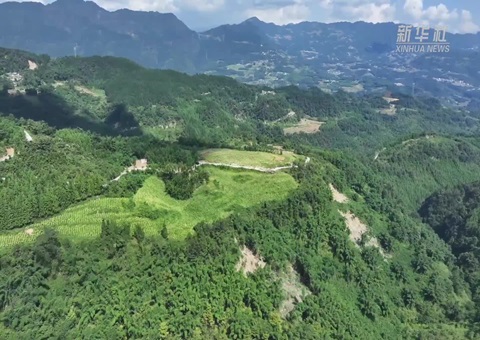 �Ĵ����ڷ������ƽ�ɽ�ֱ�������