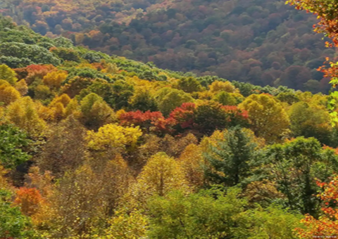 ���ճ��ݣ������ֳ��춦�¼ӿ쿪�ʹ��֡��Ŀ⡱Ǳ��