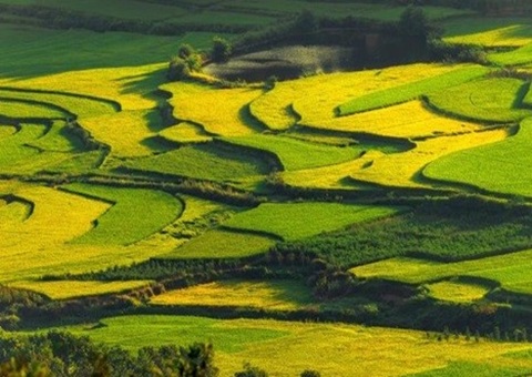 �Ĵ��䲼�ڶ���������Ŀ�ڵذ��� �ƶ���Ƥ��Դ��Ч��Լ����