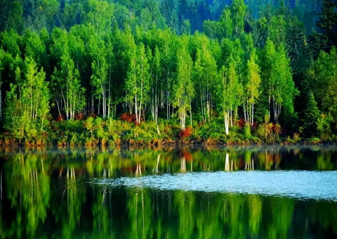 ������������Ϊ���˲�ҵ��ʳΪý������