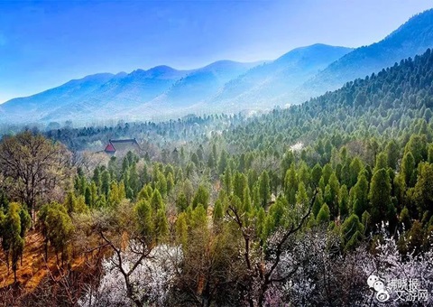 �����������󳡴����������������