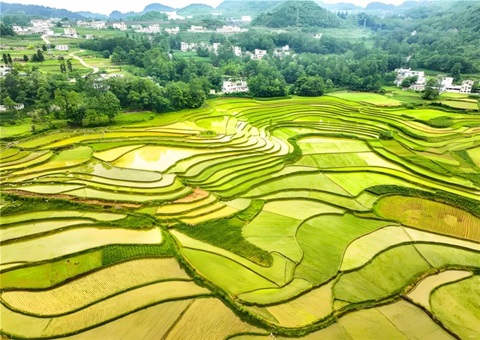 ����ʡ�׷ݵ�Ƥ�������Ӻ�ͬ�ɹ�ǩ��