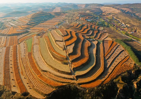 ����16.52��Ԫ��Ƥ����ר��ծȯ��Ŀ����