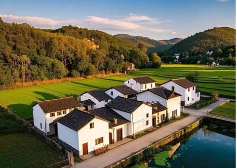 ��Ԫ�в�Ϫ�������õر���+���ر��������Ի������ж�