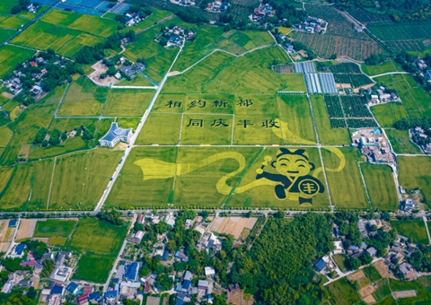 �ɶ��䲼���ر����滮������10���������Ρ��츮���֡�����