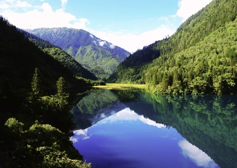 Ԥ��2025������Ĵ�ʡ������������1500��֡���ֵ1800��Ԫ