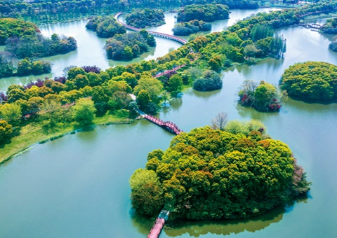 ����ʡʪ�ر������Ѵ�61.99%