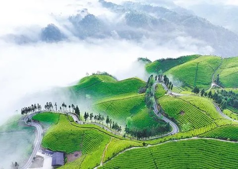 ����ʡ��ȫ������ʵ����Ȩ�벻�����Ǽ����ݻ�ͨ