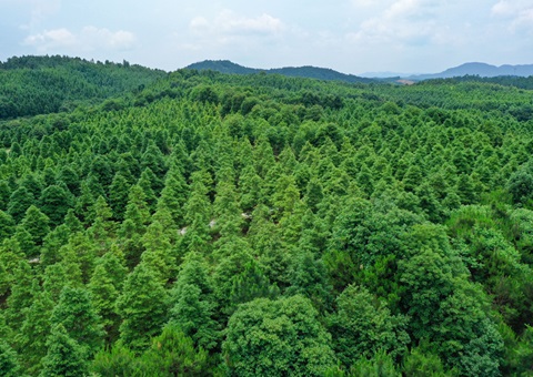 ���2024����Ȩ��ת�������21.36��Ԫ