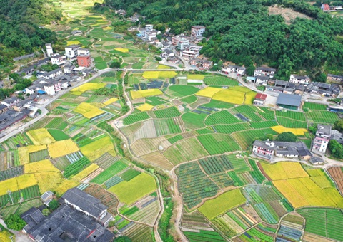 94��ǧ��Ķ�õ����� ��ͷͶ�ʳ�28��Ԫ Ȫ�ݡ���������ױ�Ե㹤����ý׶��Թ�Ч