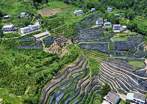 �����׸���ҵ��̬��Ʒ��ֵ����ɾ��������