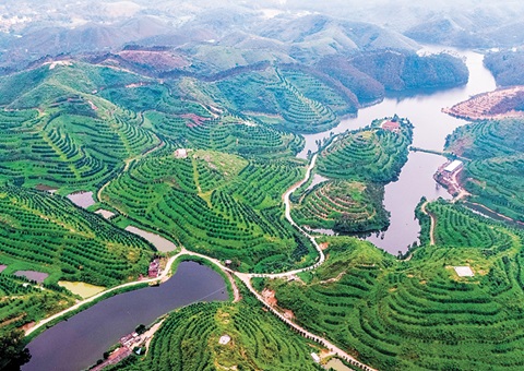 �㶫����������ҵ��Ӫ����Ȩ֤ <br>��־ȡ�ֵؾ�ӪȨת��Ϊ����ת�������ʡ�������ġ���ɫ��Ǯ��