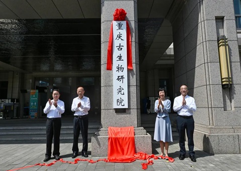 �������������Ժ���Ƴ��� ϵȫ���׸�ʡ������������Ժ