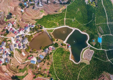 ũ���г����з��У�Ͷ��ȫ���ױ�ȫ���Ƥ�ۺ����δ���