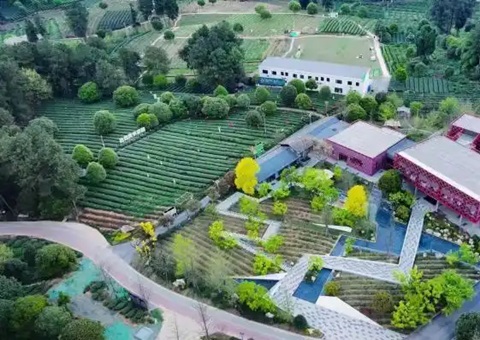 �ּ䡰�֡����ƴ��ռ䣺�Ĵ��ѽ�����̬��ֵ�˶����ü�ֵ