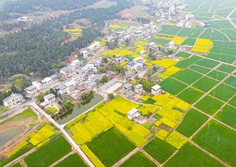 �Ĵ�ʡί�칫����ʡ���ְ칫��ӡ����������������Ƥ�����г������µĶ�����