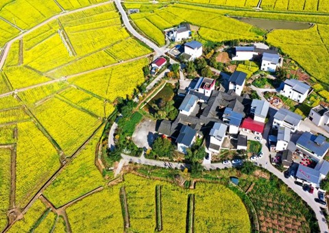 �Ĵ����Դ���������Ŀ�õ�Ӧ������