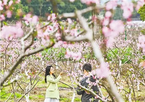 ������������ֳ���Ϊ����ͭ���ٿ�