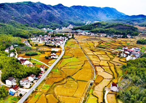 �����Ե���ũ������ֵ����